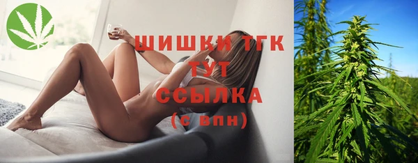mix Богородицк