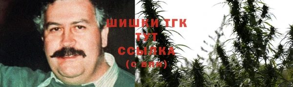mix Богородицк
