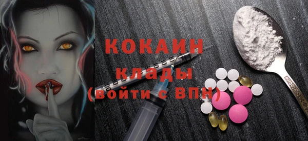 mix Богородицк