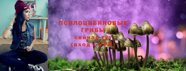 амф Белокуриха