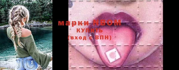 mix Богородицк