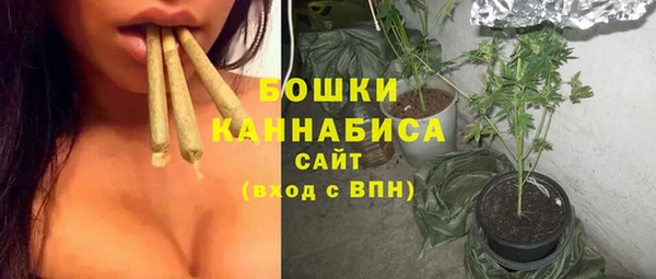 mix Богородицк