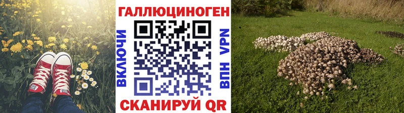 купить наркоту  Волосово  Галлюциногенные грибы Cubensis 